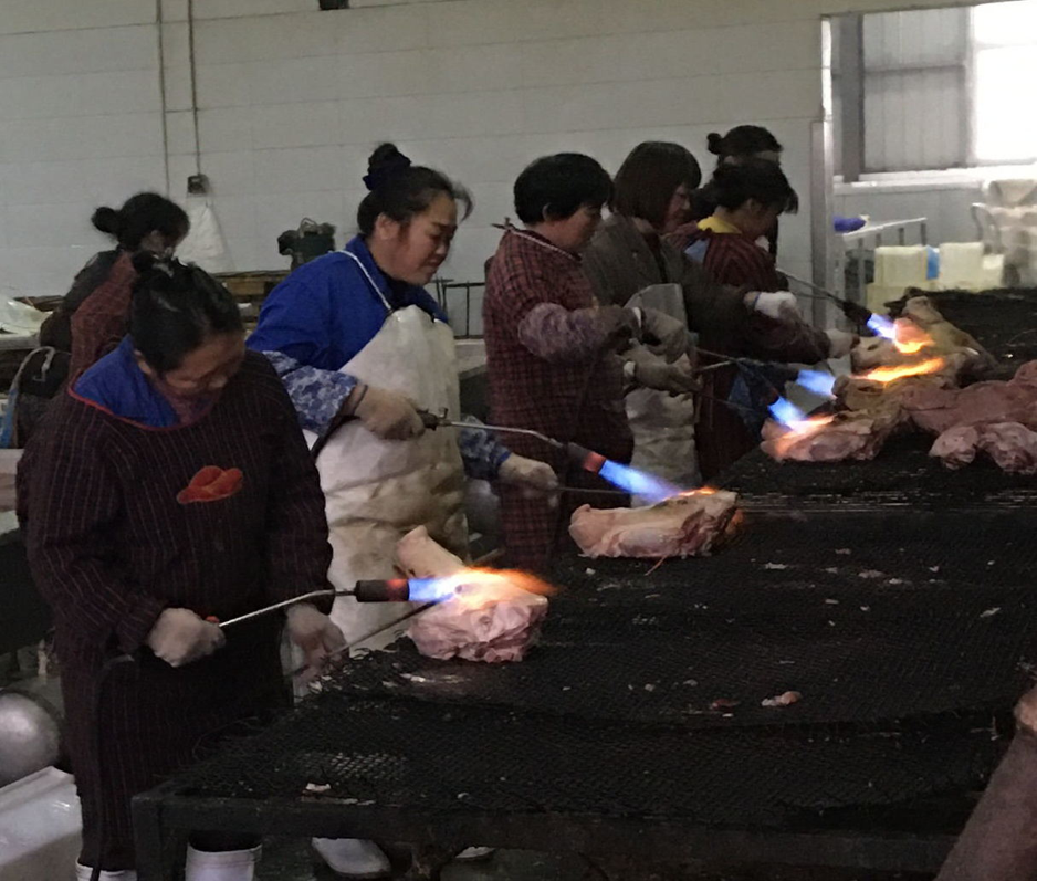 豬肉食品表麵熱加工圖例